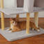 Arbre à chat en bois avec condo, hamac et balle jouet-229672365