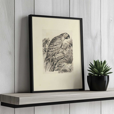 Illustration de perroquet par Stellar Design Studio, reproduction d'art
