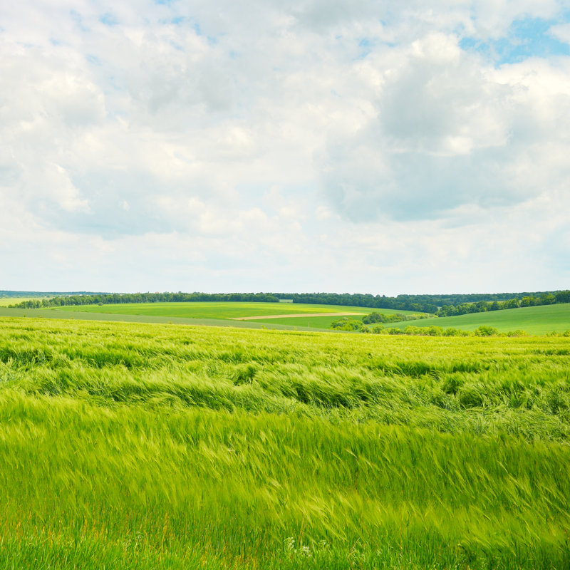 Fields and Clouds - Photographie sur toile tendue, H 12 po x l 12 po x P 1,25 po