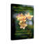«Blessed Be The God and Father 2 Corinthians 1: 3-4», décoration murale chrétienne-2024964885