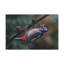 Art mural, chasse au pic-1469553027