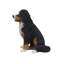 Statue de chien montagne Bernese