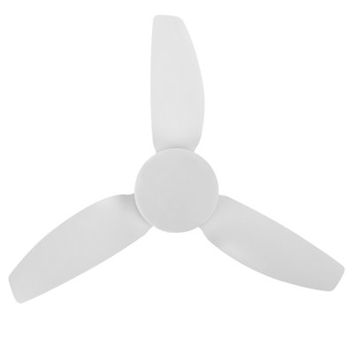 Ayverie 114cm Ceiling Fan with Light Kit