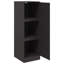 Alyda Steel Accent Cabinet-893228388