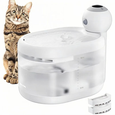 Anti-Skid Pet Fountain
