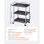 Chariot utilitaire, capacité de charge de 136 kg, chariot de service de 70 x 46 cm, chariot utilitaire robuste en plastique à trois étagères avec roues pivotantes à 360° (dont 2 avec freins), garage, nettoyage, convient pour entrepôt