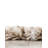 Tarquinio Rug-290068629-290068636