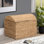 Coffre de rangement robuste en osier d'eau avec charnière de sécurité, cadre en métal et couvercle arqué, H 18,5 po x P 16,5 po x l 24,4 po, naturel