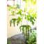 Hampson Ceramic Hanging Planter