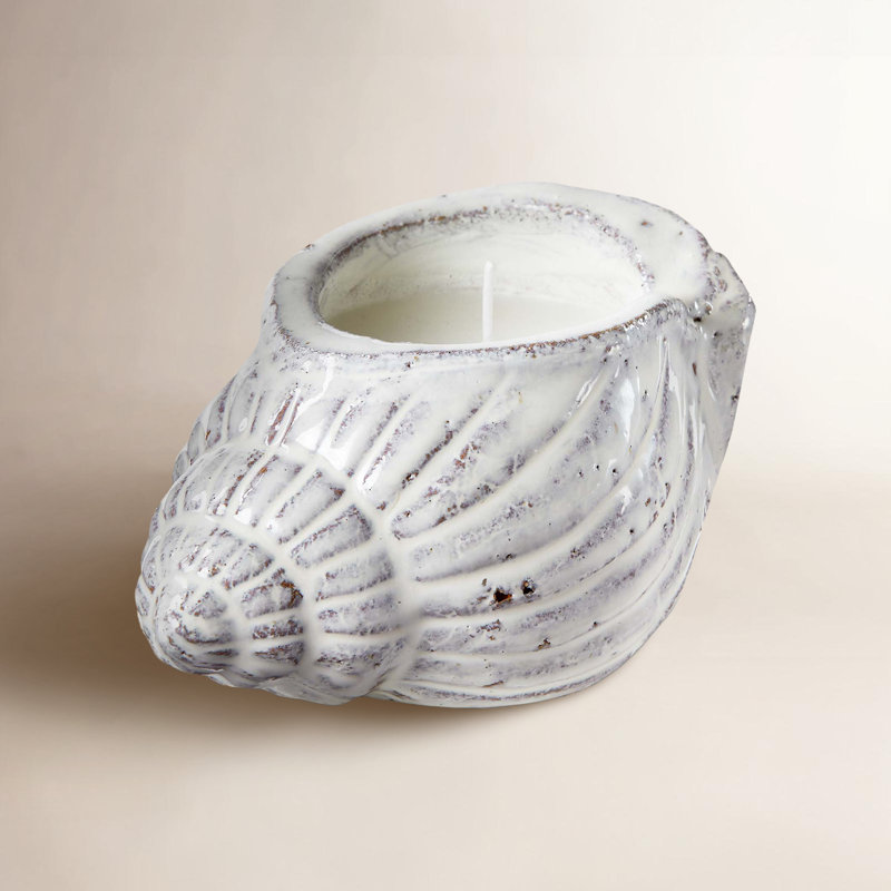  Bougie blanche à la citronnelle