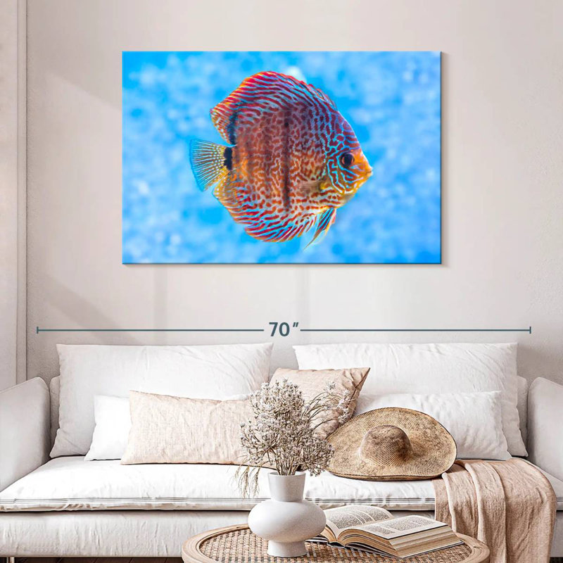 Brampt Freshwater Discus Fish, 30" H x 45" W