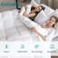 Édredon en duvet d'oie avec housse de couette silencieuse ultra douce et confortable toutes saisons avec housse en coton égyptien, édredon moelleux et chaud-123491520