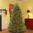 Downswept Douglas Fir Tree with Dual Color LED Lights-306426125