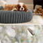 Lit pour chien Bedsut Donut-120992887-120992891