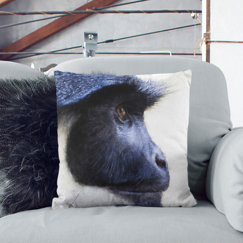 Colobus Monkey Scatter Cushion, 40cm H x 40cm W x 15cm D