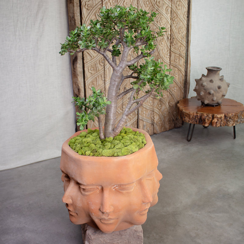 Faces terracotta planter