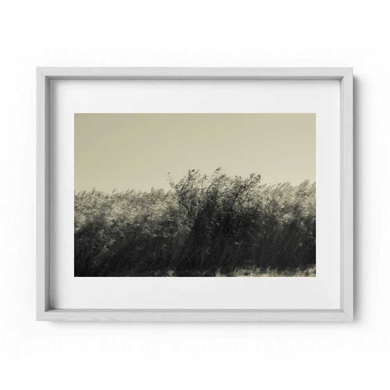 The Summer Wind Print by Joseph Regan, 22" H x 26" W x 0.75" D, White