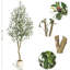 72cm Plant