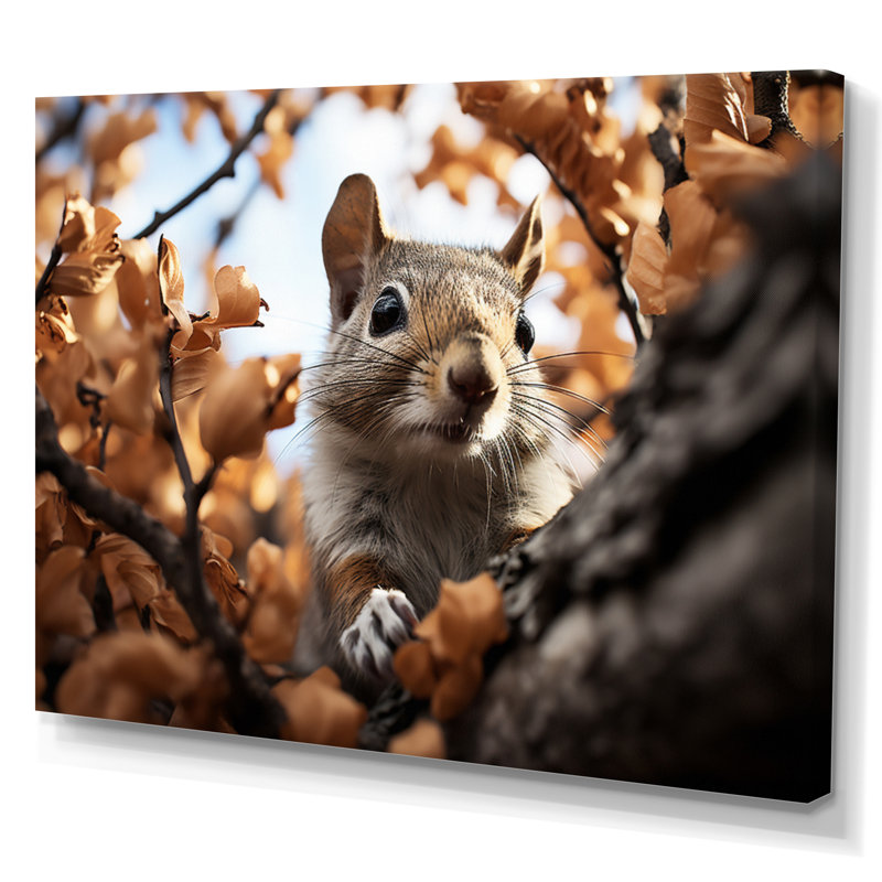 Rahson Grey Squirrel Squirrels, reproduction d'art sur toile, H 24 po x l 32 po x P 1 po, Toile tendue