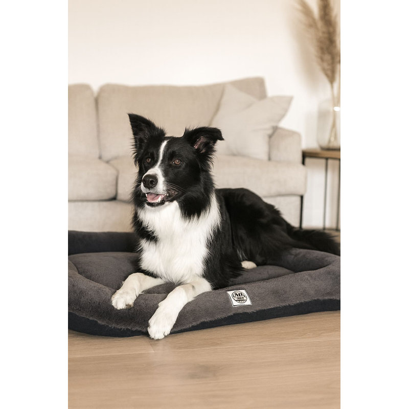 Lit pour animal de compagnie, Anthracite, L 29,5 po x l 21,7 po