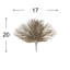 Areca Palm Stem