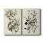 Toile tendue de qualité supérieure Pl 185 Bachman's Warbler - prêt à accrocher-800675880