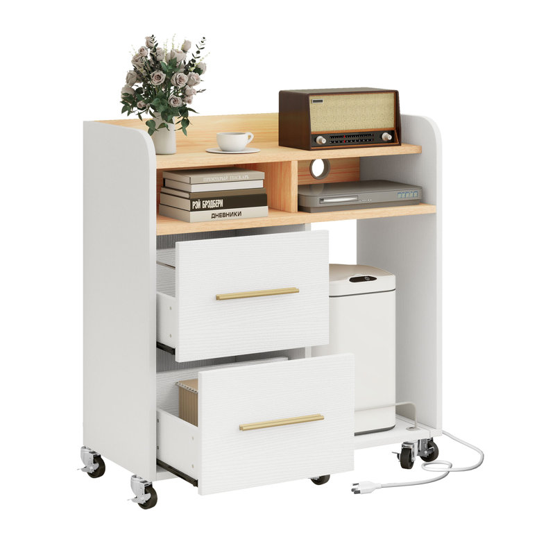 Asharra 35'' W File Cabinet with Power Outlets, 2-Drawer & Printer Stand, White