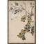 Floral Woodblock Print II Framed-44383223