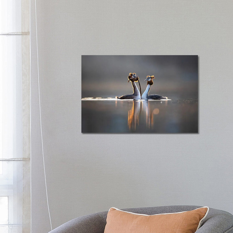 Courtships II by Mateusz Piesiak - Wrapped Canvas Print