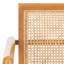 Braya Rattan Accent Chair-1981679213