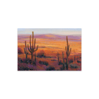 «Desert Light II» par Tim Ottoole