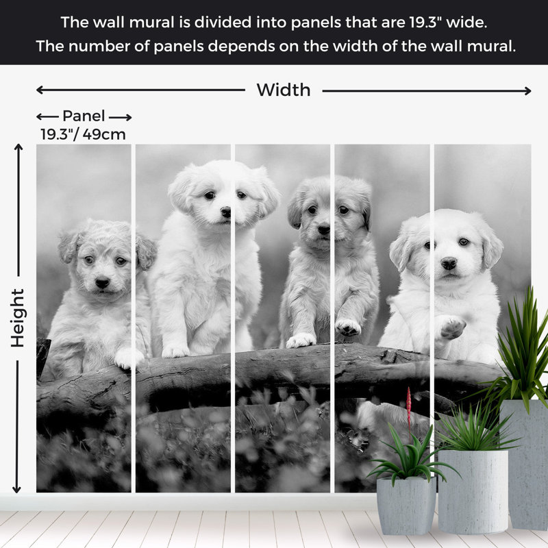 Murale animaux pelez et collez - Quatre chiots, L 82 po x l 115 po
