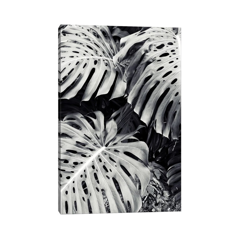 Monstera 1 Piece Wrapped Canvas Wall Art, 101.6 cm H x 66.04 cm W x 3.175 cm D