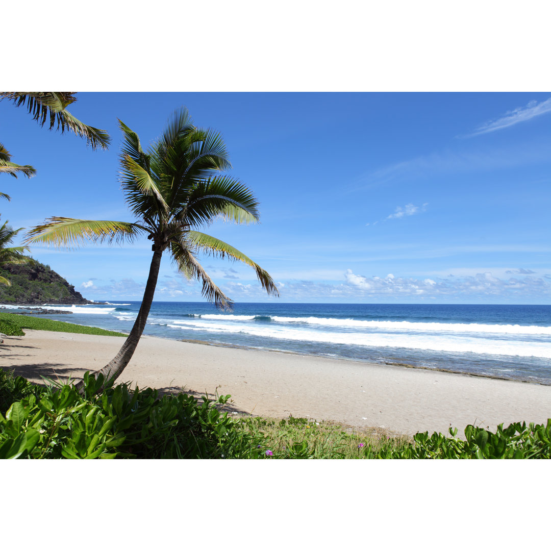 Palm Trees On The Beach von Imv - Kunstdrucke auf Leinwand ohne Rahmen