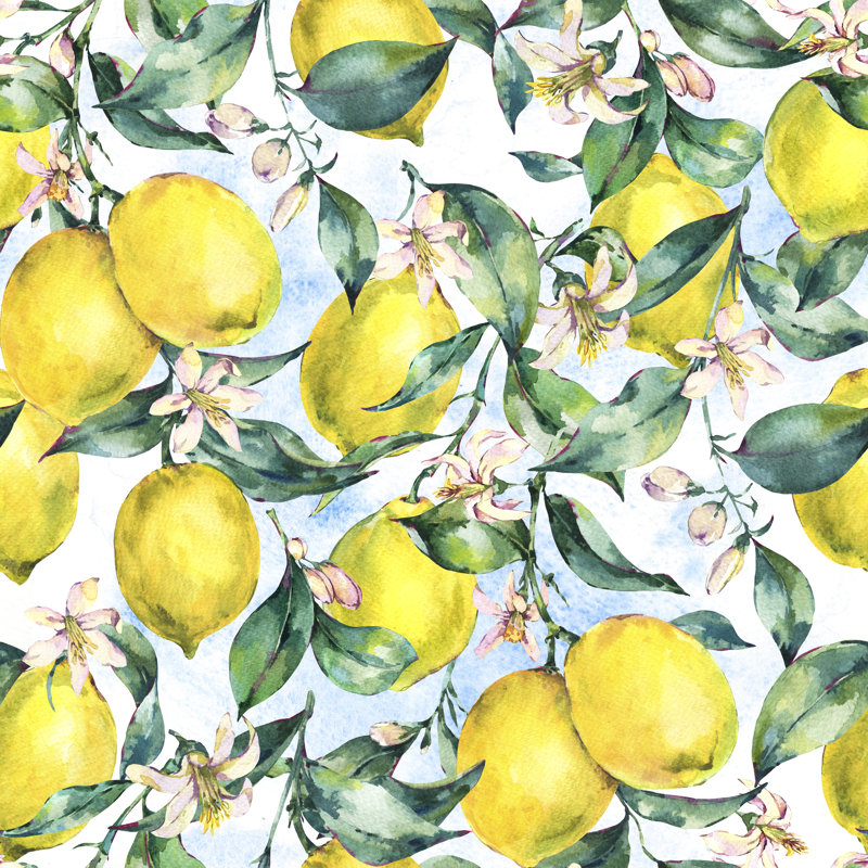 Broadhead Branch Of Fruit Lemon by Varvara Kurakina - Wrapped Canvas Painting, 76cm H x 76cm W x 3.8cm D