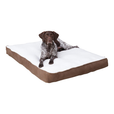 Lit pour chien avec coussin de soutien