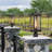 1-Light Transparent Glass Lantern Head