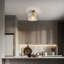 Deshonda Glass Semi Flush Mount
