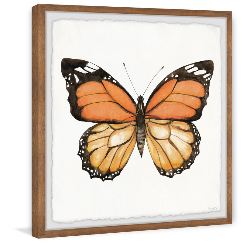 Butterfly Unleashed - Single Picture Frame Painting, 45cm H x 45cm W x 3.81cm D