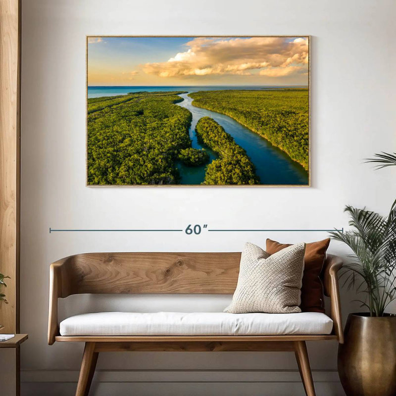 Parc national des Everglades, Cadre flottant en bois naturel, 46 po x 31 po
