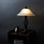 Mancia Metal Table Lamp-797300452-797300455