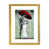 Gold Paper is unavailable