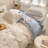 Microfiber Floral Print Comforter Set-110354022