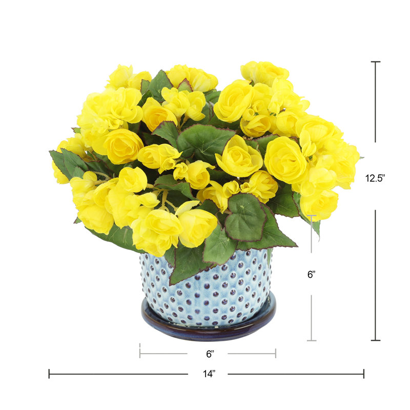 Begonias in Dotted Ceramic Pot, Yellow