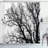Borden Autumn Fall Tree Branch Single Shower Curtain-895164210