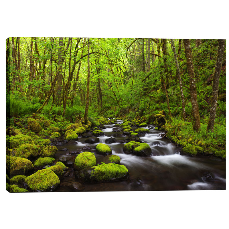 Green Forest Stream Landscape Canvas Print 12" x 18"
