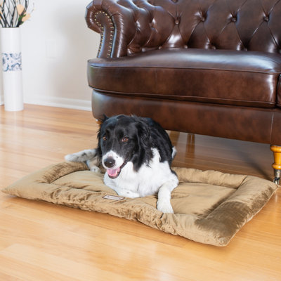 Velvet Pet Bed