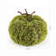 Fausse citrouille mousse 15 po