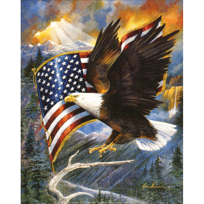 America's Pride