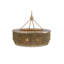 Tissot 10 - Light Chandelier